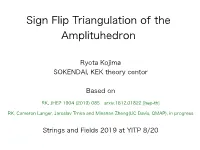 Sign Flip Triangulation of the Amplituhedron