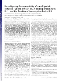 Fusions of Yeast TATA-Binding Protein with Brf1, and the Function of Transcription Factor IIIB