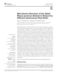 Microbiome Structure of the Aphid Myzus Persicae (Sulzer) Is Shaped by Different Solanaceae Plant Diets