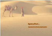 Signature of Desert …