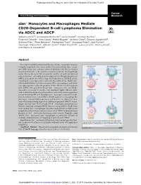 Slan Monocytes and Macrophages Mediate CD20-Dependent B-Cell