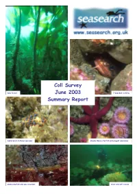 Coll Survey June 2003 Summary Report