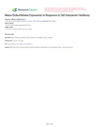 Maize Endochitinase Expression in Response to Fall Armyworm Herbivory