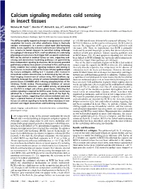 Calcium Signaling Mediates Cold Sensing in Insect Tissues