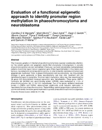 Evaluation of a Functional Epigenetic Approach to Identify Promoter Region Methylation in Phaeochromocytoma and Neuroblastoma