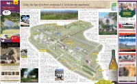 Groot Constantia Guides