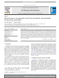 Micromonospora: an Important Microbe for Biomedicine and Potentially for Biocontrol and Biofuels