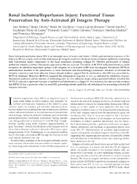 Renal Ischemia/Reperfusion Injury: Functional Tissue Preservation by Anti-Activated ␤1 Integrin Therapy