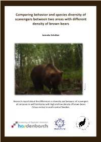 Comparing Behavior and Species Diversity of Scavengers Between Two Areas with Different Density of Brown Bears