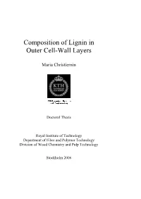 Composition of Lignin in Outer Cell-Wall Layers
