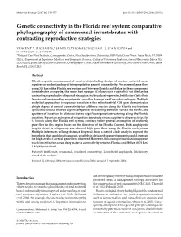 Genetic Connectivity in the Florida Reef System