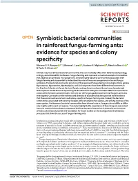 Symbiotic Bacterial Communities in Rainforest Fungus-Farming Ants: Evidence for Species and Colony Specifcity Mariane U