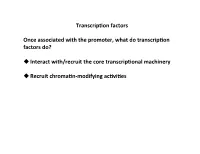 4 Transcription Part