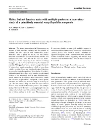 A Laboratory Study of a Primitively Eusocial Wasp Ropalidia Marginata