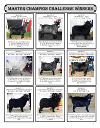Spring 2018 Show Results