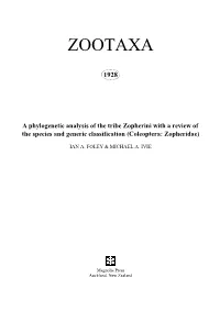 Zootaxa, a Phylogenetic Analysis of the Tribe Zopherini with a Review