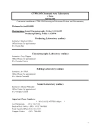 295 Platinum Spring 2021 Syllabus Online (No Contact)