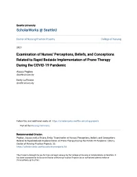 Examination of Nurses' Perceptions, Beliefs, and Conceptions Related To