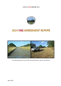 Fire Report 2014