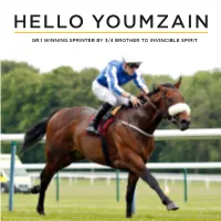 Hello Youmzain