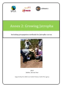 Propagation Methods for Jatropha Curcas