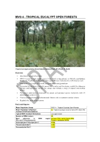 MVG04 Tropical Eucalypt Open Forests DRAFT