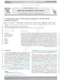 A Comprehensive Species-Level Molecular Phylogeny of the New World