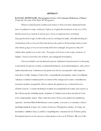 ABSTRACT BAYLESS, KEITH MOHR. Phylogenomic Studies of Evolutionary Radiations of Diptera