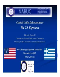 Critical Utility Infrastructures: the U.S. Experience