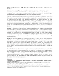 Defining the Morphometrics of the First Metacarpal for the Development of an Osseointegrated Prosthesis