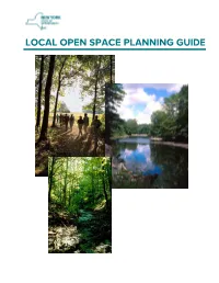 LOCAL OPEN SPACE PLANNING GUIDE Local Open Space Planning Guide