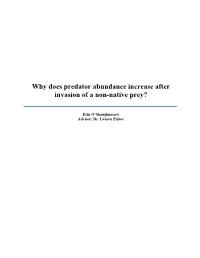 Why Does Predator Abundance Increase After Invasion of a Non-Native Prey?