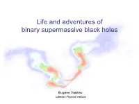 Life and Adventures of Binary Supermassive Black Holes