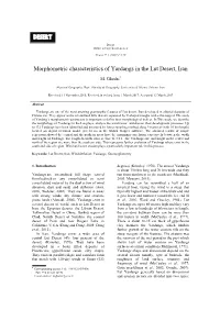 Morphometric Characteristics of Yardangs in the Lut Desert, Iran