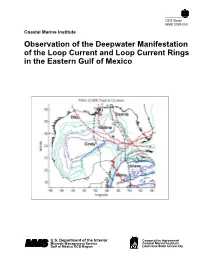Observation of the Deepwater Manifestation of the Loop Current and Loop Current Rings in the Eastern Gulf of Mexico
