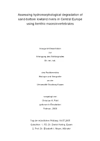 Assessing Hydromorphological Degradation of Sand-Bottom Lowland Rivers in Central Europe Using Benthic Macroinvertebrates