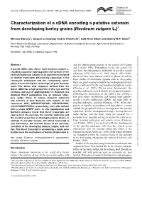 Characterization of a Cdna Encoding a Putative Extensin from Developing Barley Grains (Hordeum Vulgare L.)1