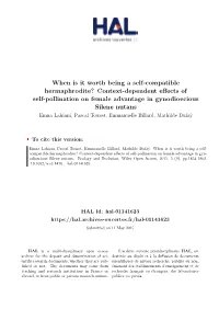 When Is It Worth Being a Self-Compatible Hermaphrodite?