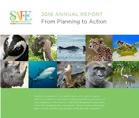 2016 SAFE Annual Report Will Provide Insight Into the Progress Made by All of Us Over the Past Year, As Well As a Sense of the Potential of SAFE