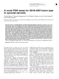 A Novel FISH Assay for SS18–SSX Fusion Type in Synovial Sarcoma