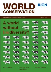A World Without Biodiversity?