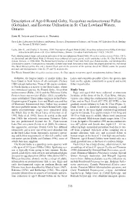 Description of Age-0 Round Goby, Neogobius Melanostomus Pallas (Gobiidae), and Ecotone Utilisation in St