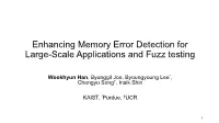 Memory Error Detection for Large-Scale Applications and Fuzz Testing