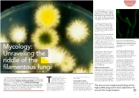 Mycology: Unravelling the Riddle of the Filamentous Fungi