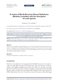 Bivalvia, Lucinidae) with the Description