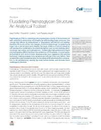 Elucidating Peptidoglycan Structure: an Analytical Toolset