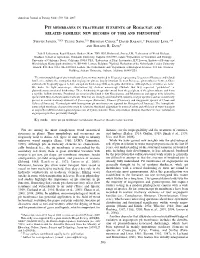 Pit Membranes in Tracheary Elements of Rosaceae and Related Families: New Records of Tori and Pseudotori1