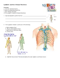 Endocrine System: Overview