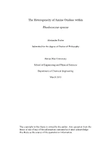 Thesis Style Document