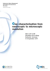 Clay Characterisation from Nanoscopic to Microscopic Resolution